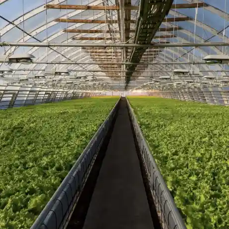 EFIBACT en la Agricultura