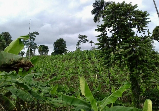 Visión - CR Remediación Ambiental